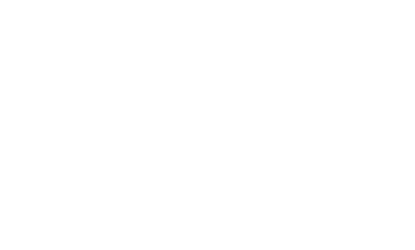 Funktion One